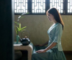 怀孕初期可吃中药打掉吗（刚怀孕可以吃中药打掉吗）