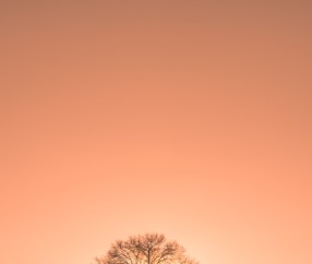 小孩发烧中性粒细胞增高（小孩发高烧中性粒细胞偏高要打针吗）